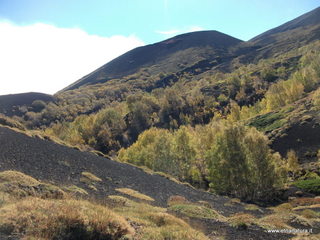 nte Corvo-01-11-2012 11-09-44